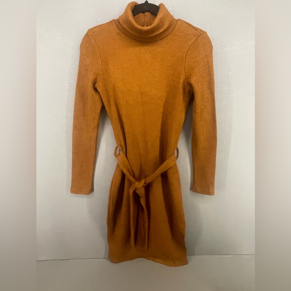 Iulu’s sweater dress turtleneck belted size small